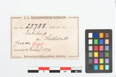 Etikett zu Bronzebrillenfibel (NHMW-PRAE-025788)